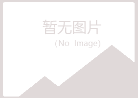 青岛黄岛宛白能源有限公司